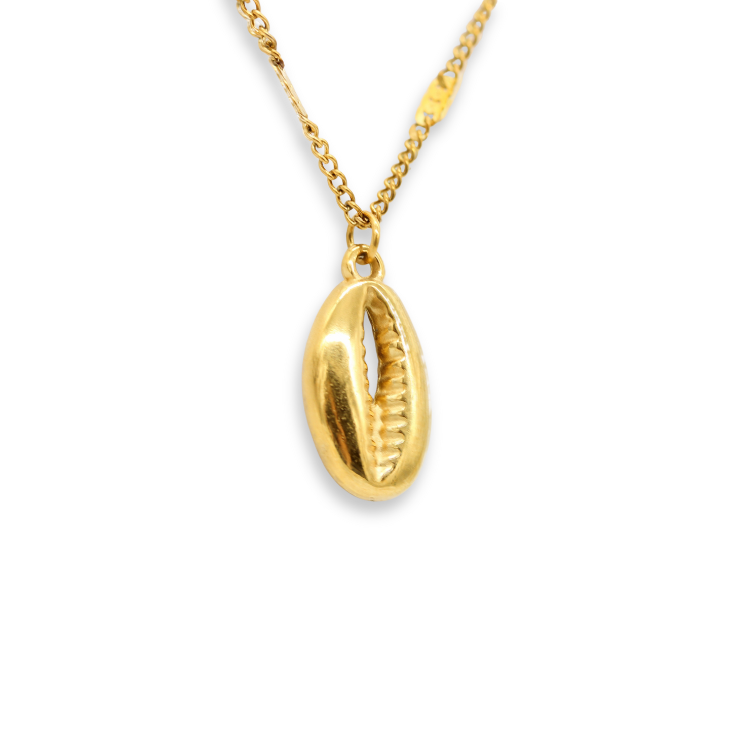 Cowry Shell Necklace