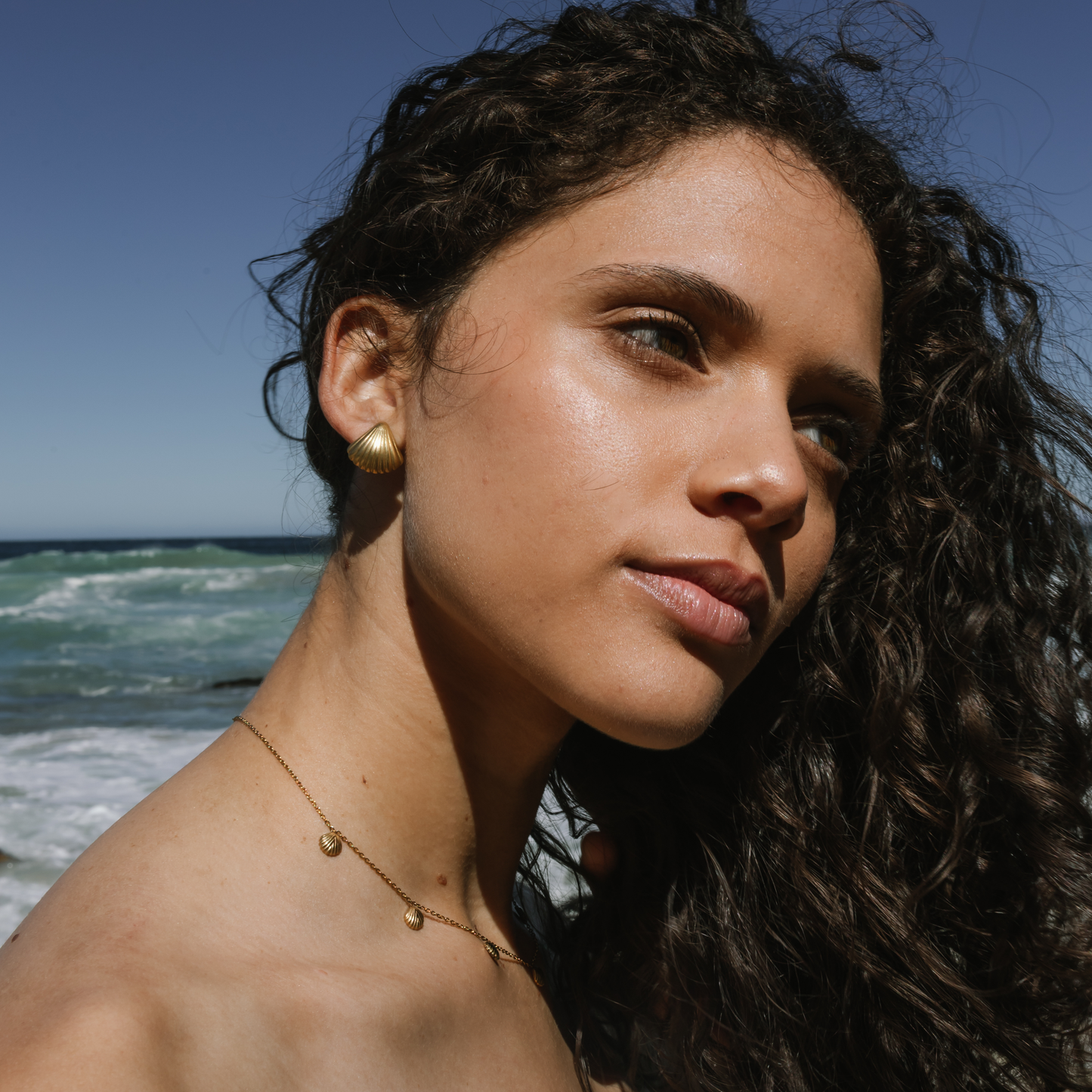 Medium Seashell Studs