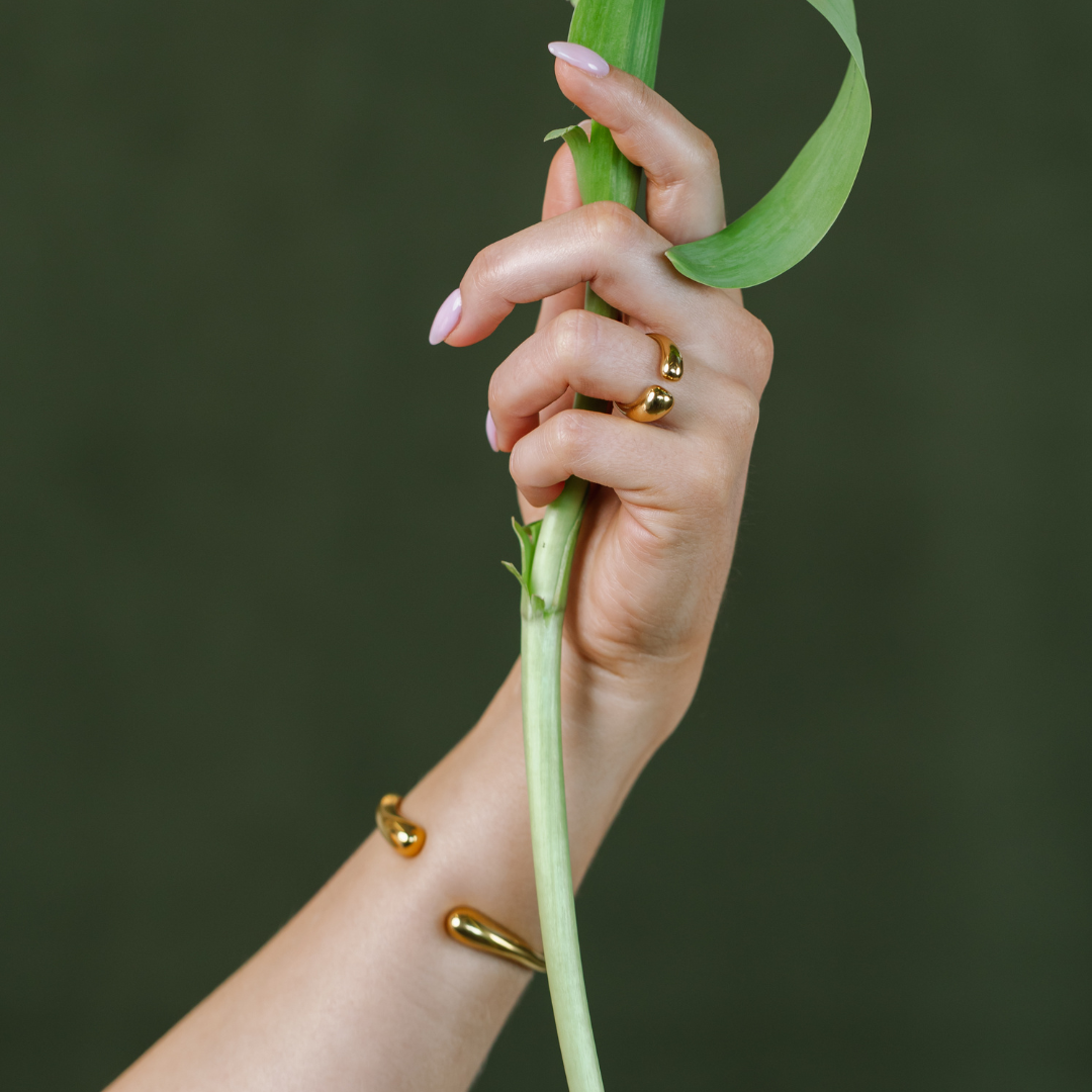 Louise Bangle (LBL Collection)