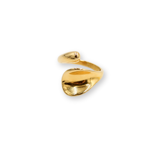 Maré Ring (LBL Collection)