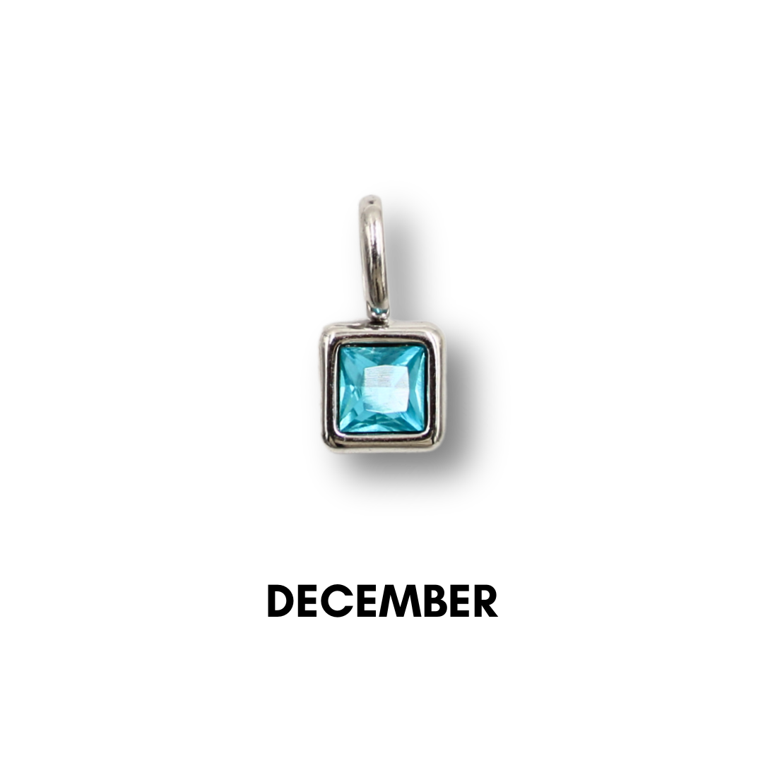 Birthstone Charms Silver