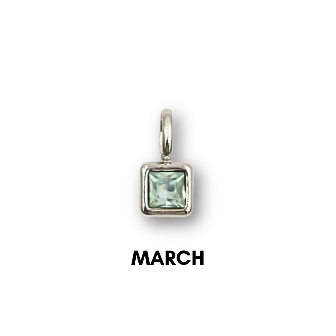 Birthstone Charms Silver