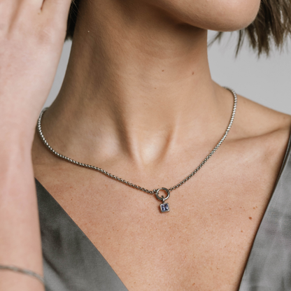 Clasp Charm Necklace Silver