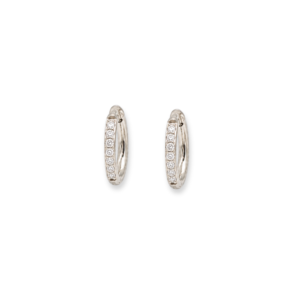 Elizabeth Hoops Silver