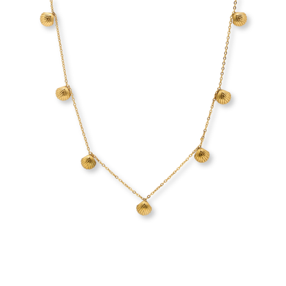 Seashell Charm Necklace