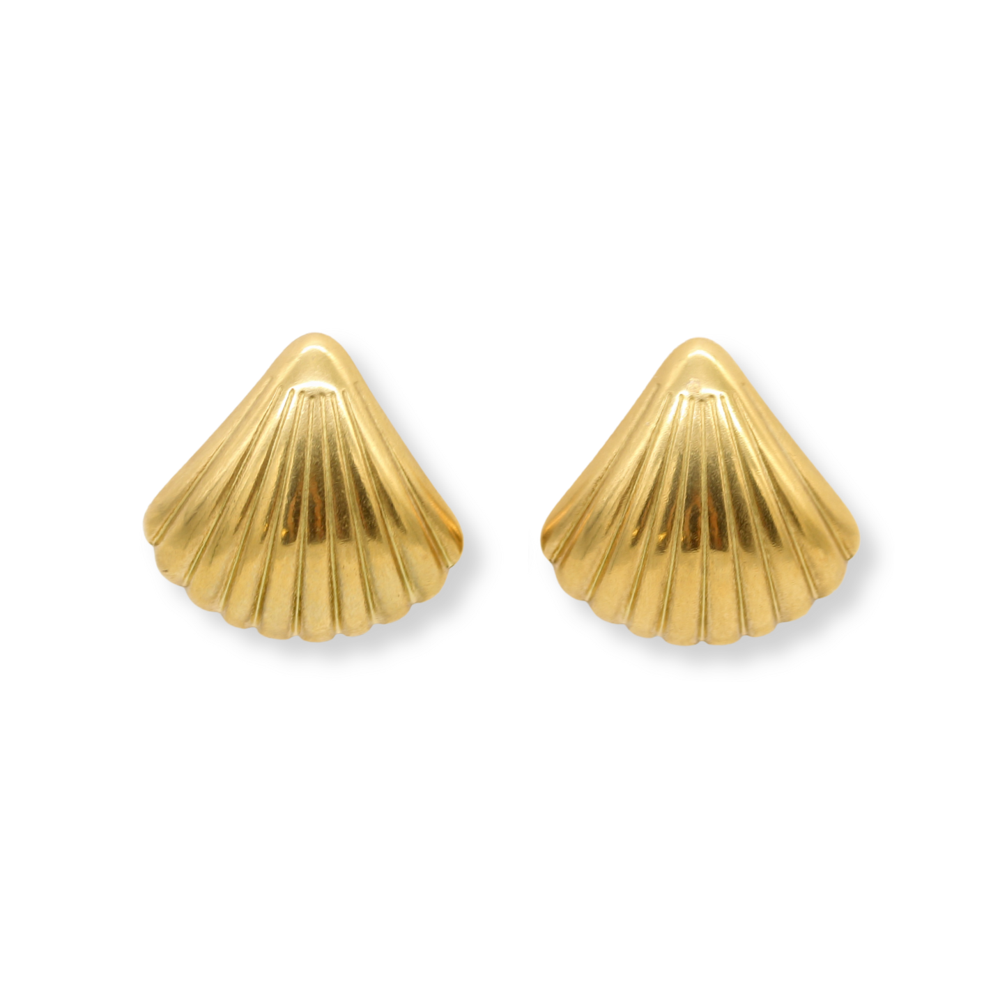 Medium Seashell Studs