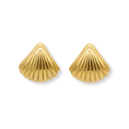 Medium Seashell Studs