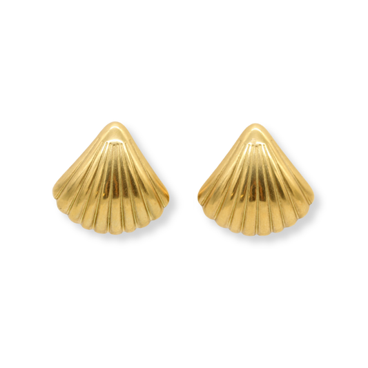 Medium Seashell Studs