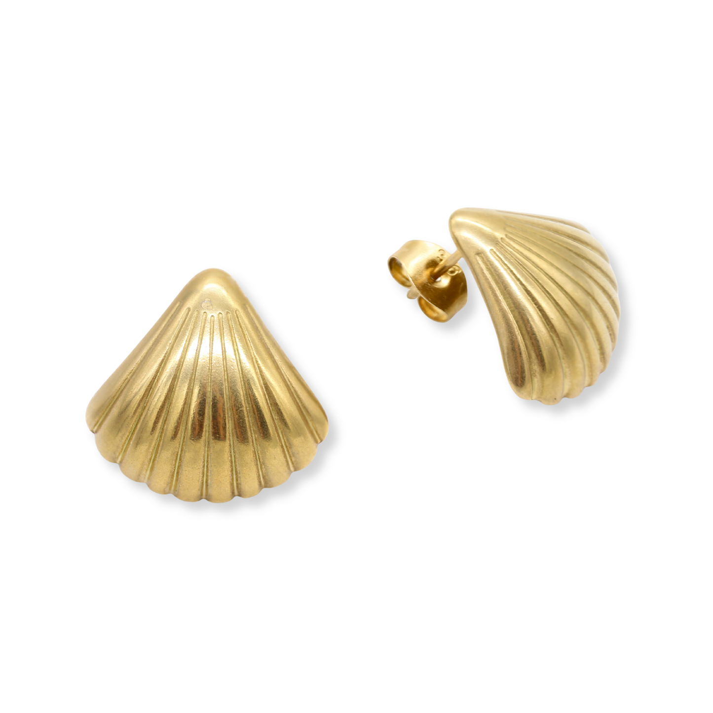 Medium Seashell Studs