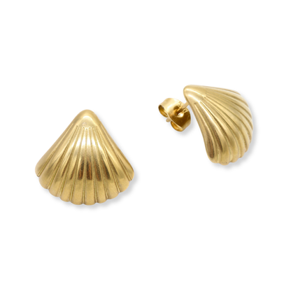 Medium Seashell Studs