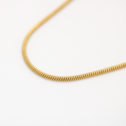 Extra-Length Snake Chain