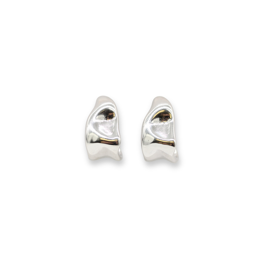 Carli Earrings Silver