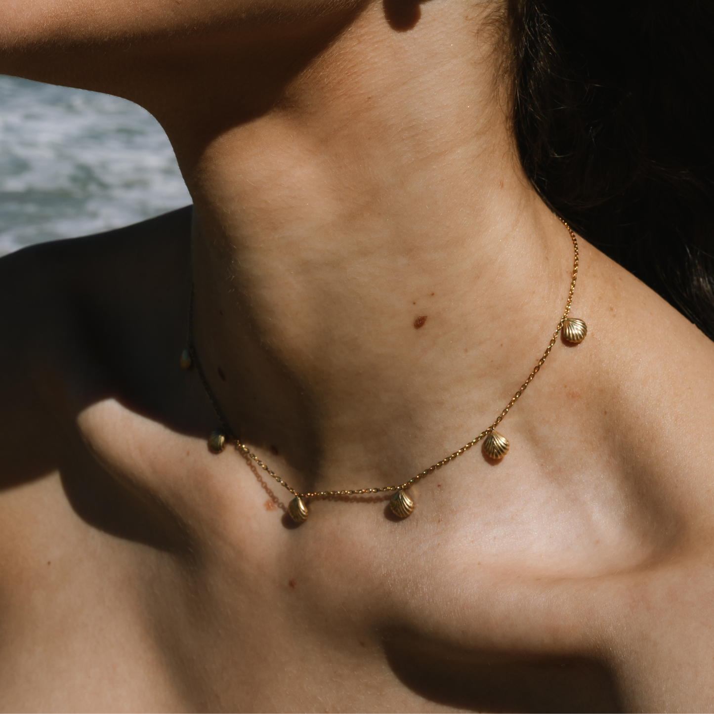 Seashell Charm Necklace