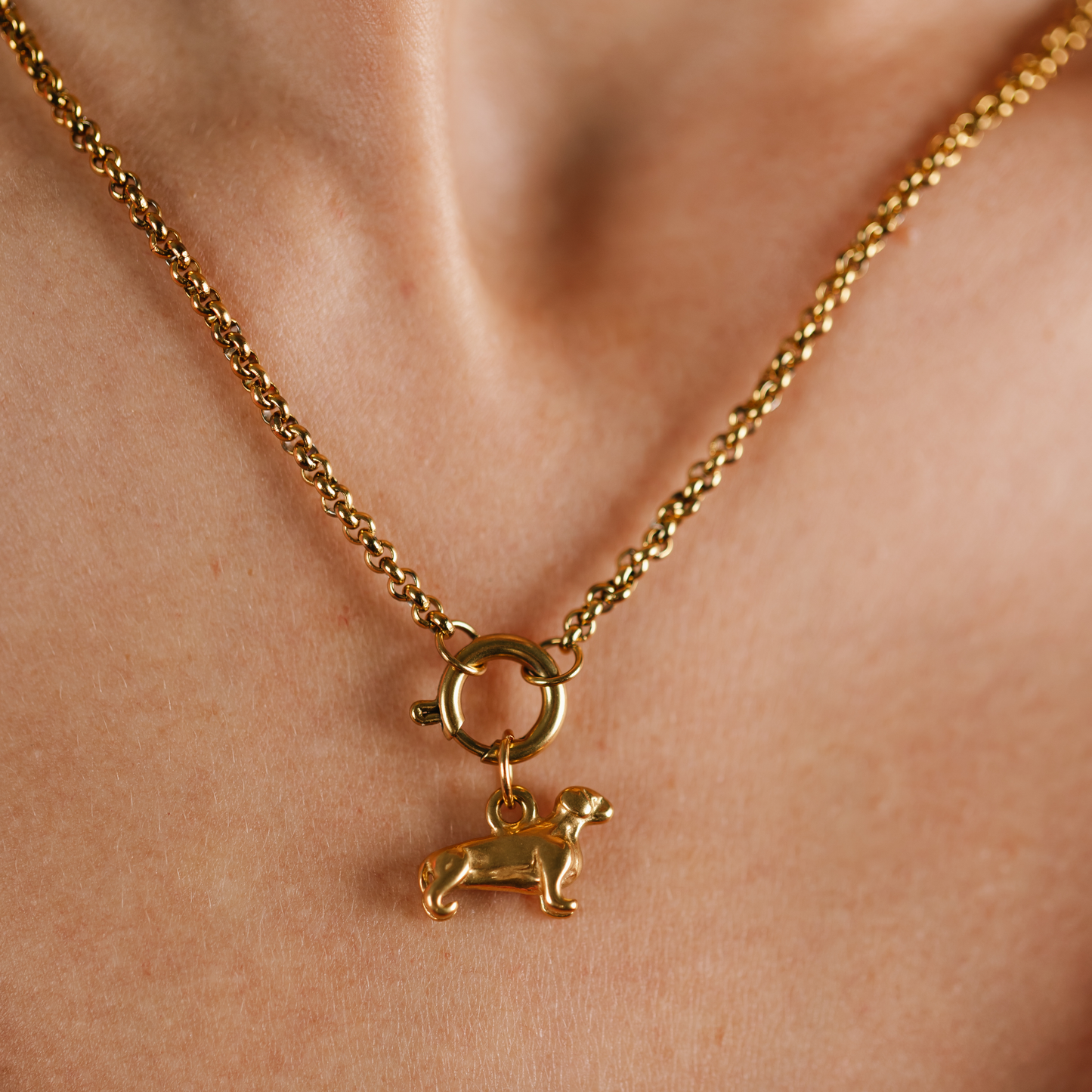 Dachshund Dangly Charm