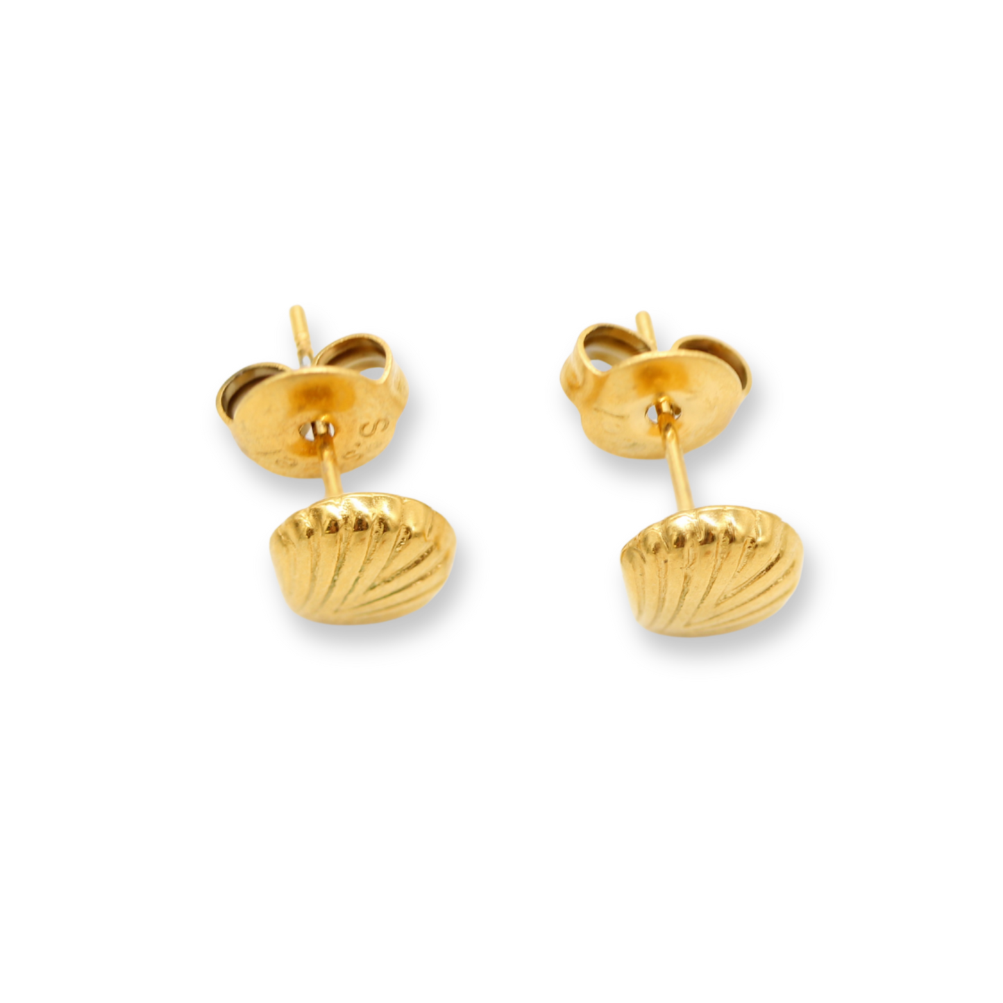 Small Seashell Studs