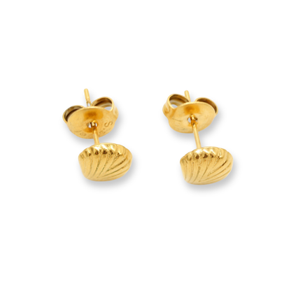 Small Seashell Studs
