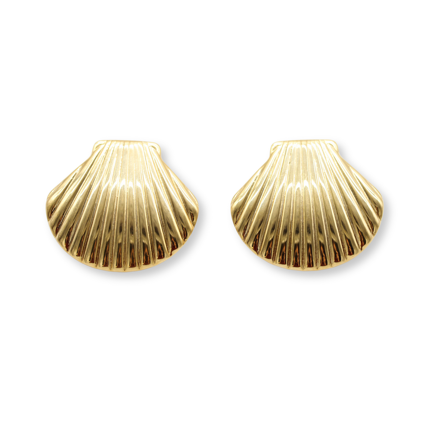 Large Seashell Studs