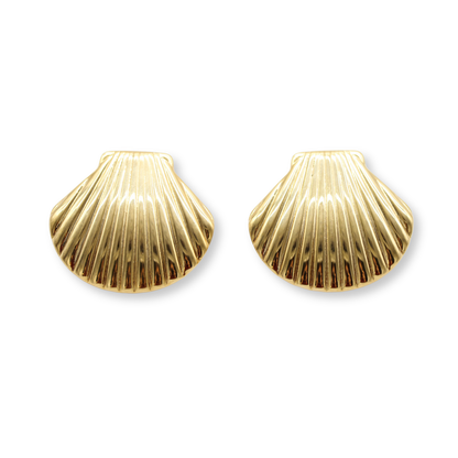 Large Seashell Studs