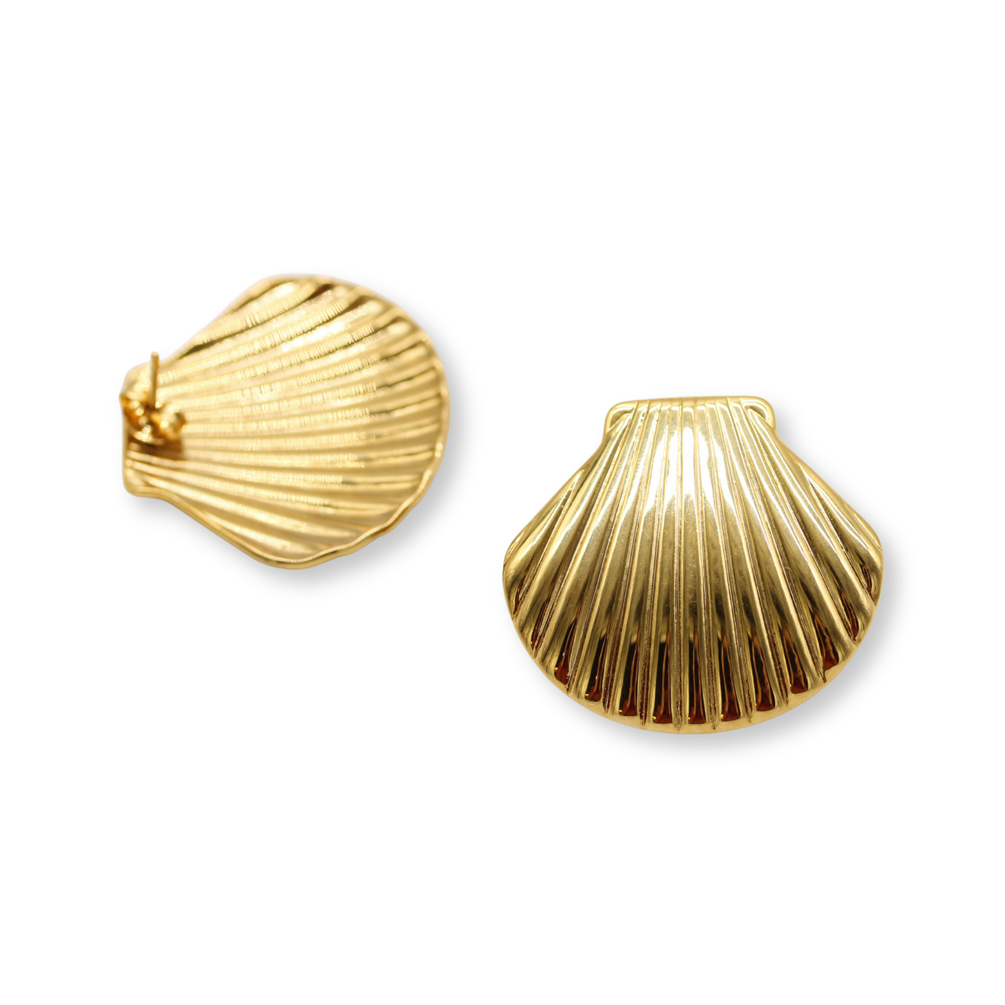 Large Seashell Studs