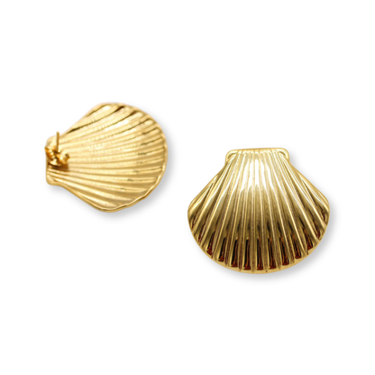 Large Seashell Studs