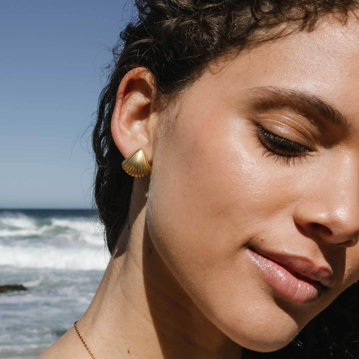 Medium Seashell Studs