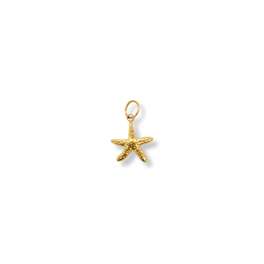 Starfish Dangly Charm