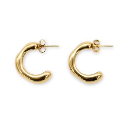 Sculpted Earrings