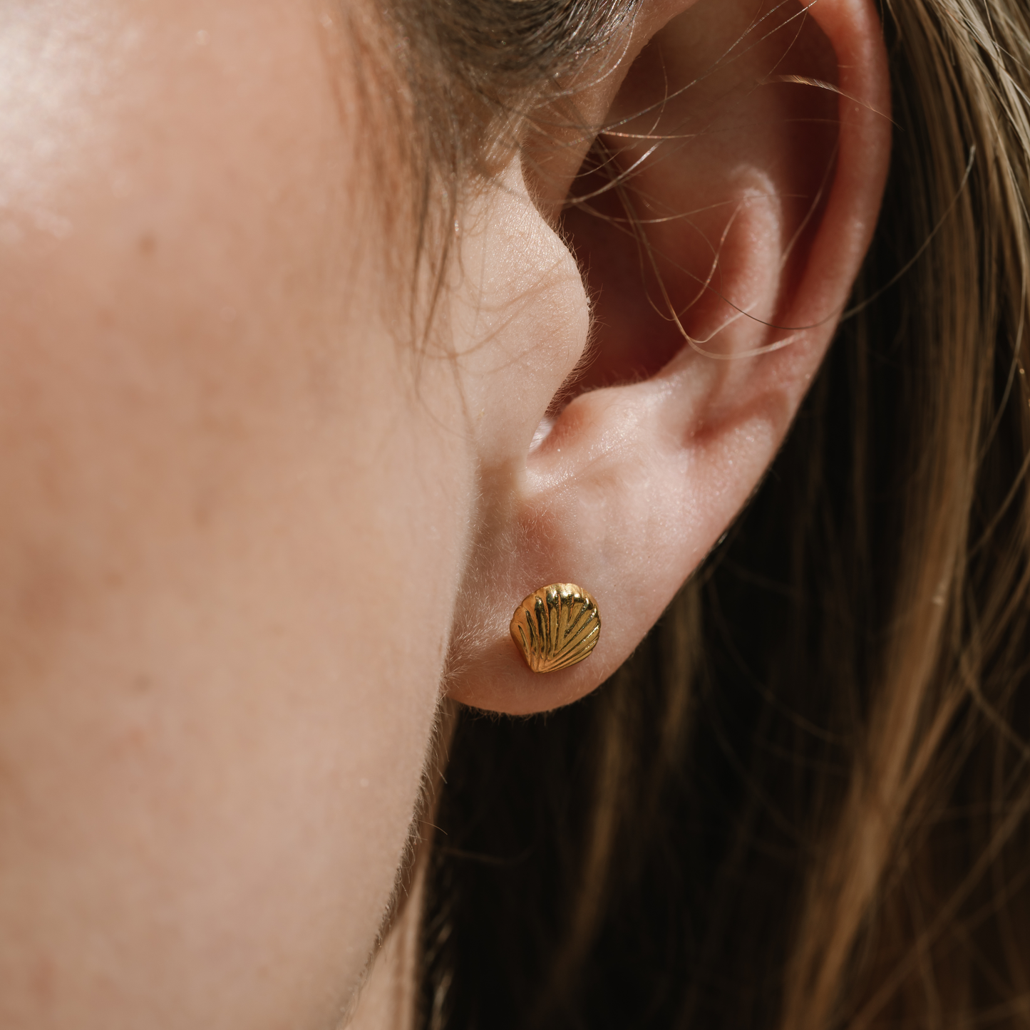 Small Seashell Studs