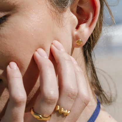 Small Seashell Studs