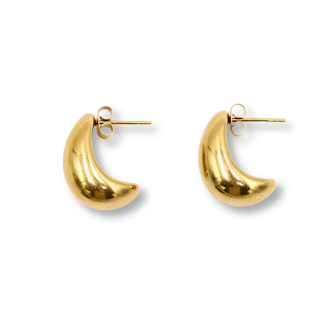 Curved Drop Earrings