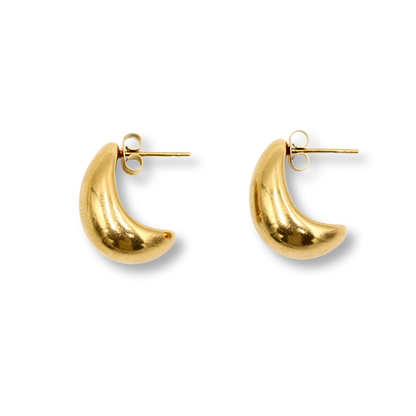Curved Drop Earrings