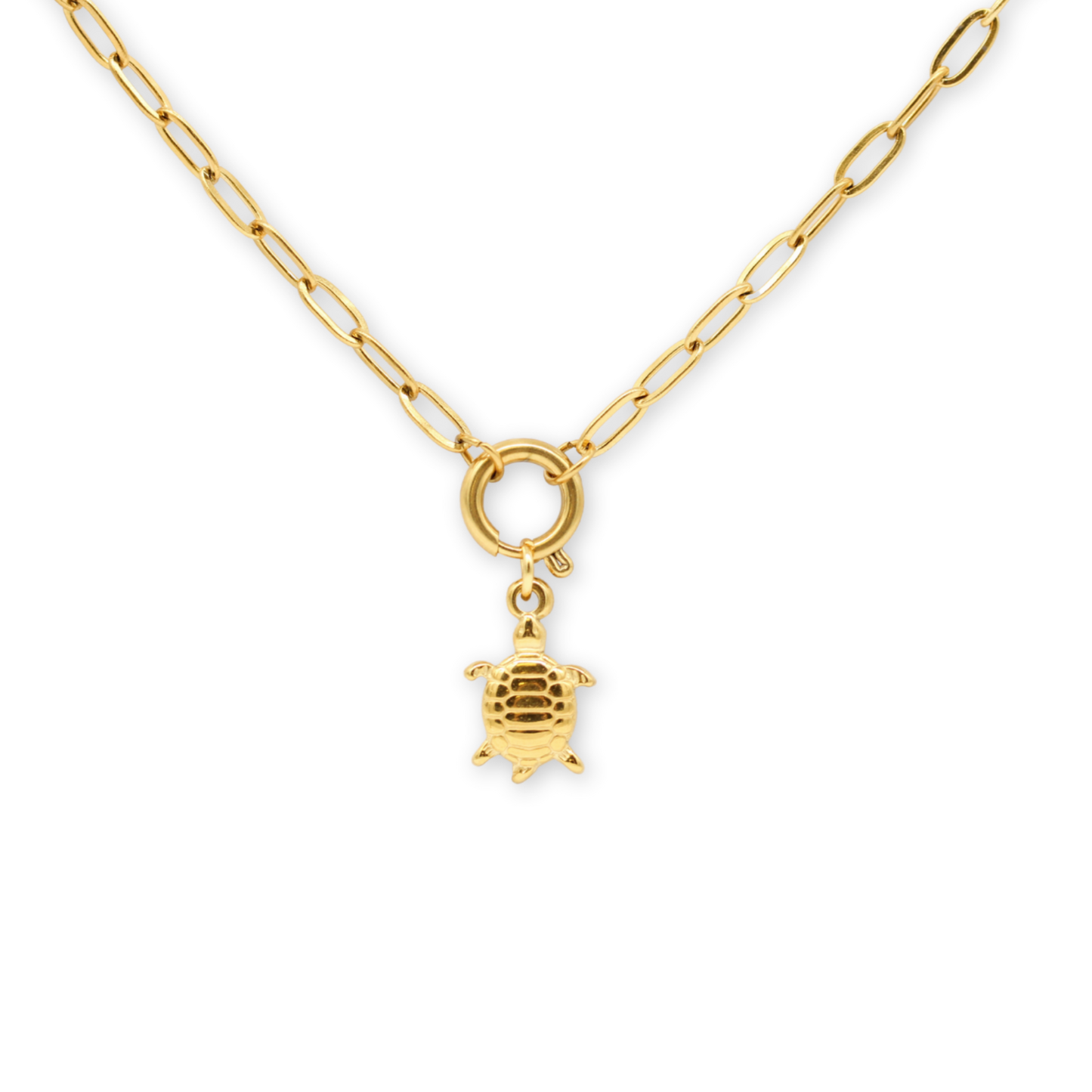 Clasp Charm Necklace Gold