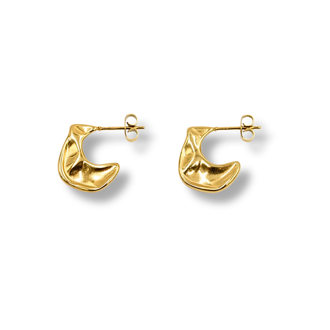 Pre-order: Dinie Earrings