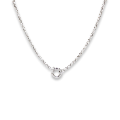 Birthstone Necklace Silver