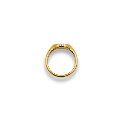 Pre-order: Textured Signet Ring Gold